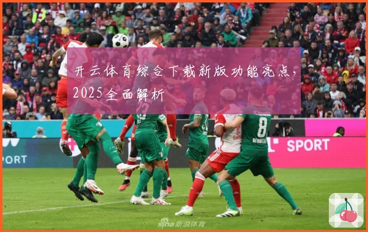 开云体育综合下载新版功能亮点,2025全面解析