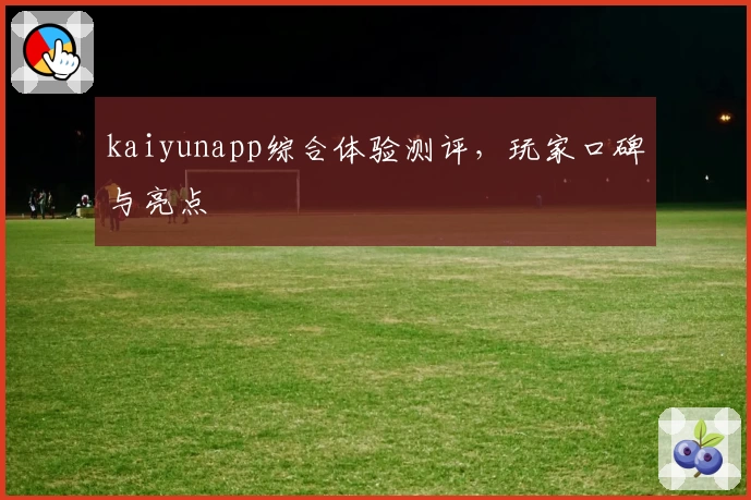 kaiyunapp综合体验测评，玩家口碑与亮点