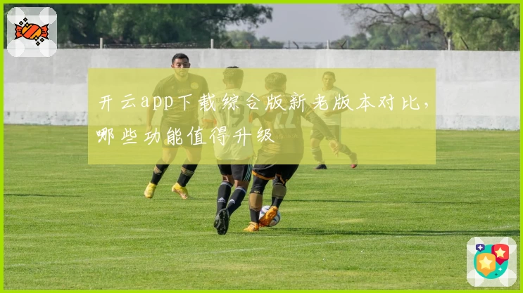 开云app下载综合版新老版本对比，哪些功能值得升级